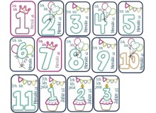 Stickserie ITH - Meilensteinkarten Monate Satin